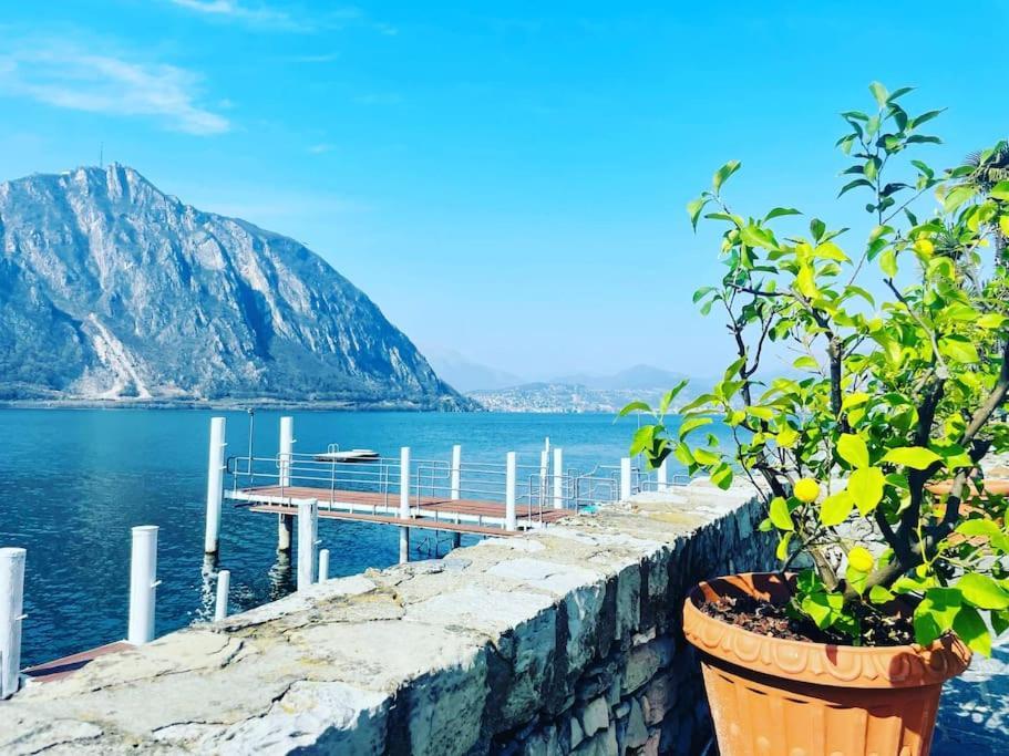Apartamento Palm Loft Bissone