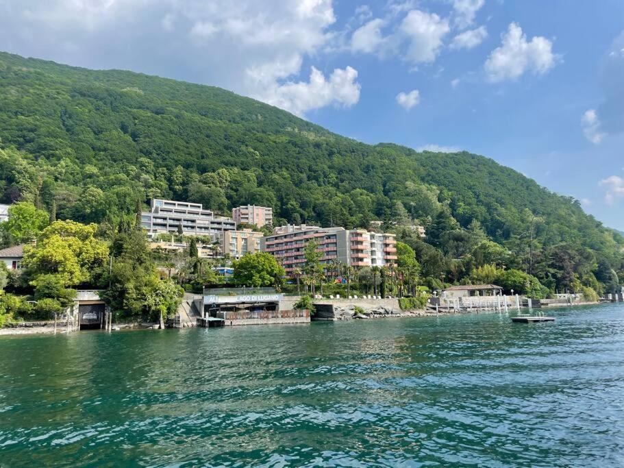 Palm Loft Bissone